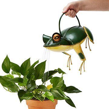 How to Choose the Best Gardener Watering Can Frog for Your Garden