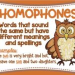 Owl teaching new animal homophones on educational poster