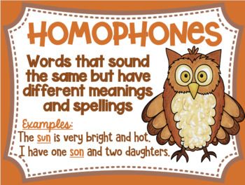 Owl teaching new animal homophones on educational poster