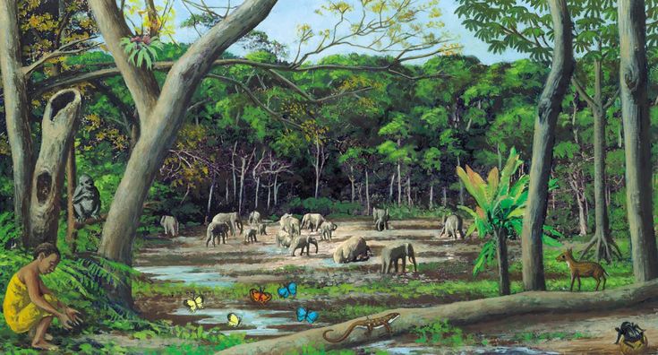 wild mammals overview in jungle