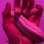 Two small pink snakes with patterns held in a hand