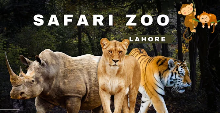 Lion, rhino, and tiger at Lahore Zoo Safari with a forest background